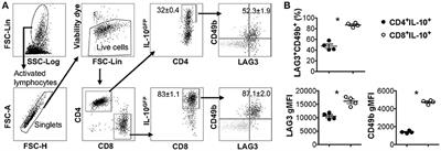 Beyond Type 1 Regulatory T Cells: Co-expression of LAG3 and CD49b in IL-10-Producing T Cell Lineages